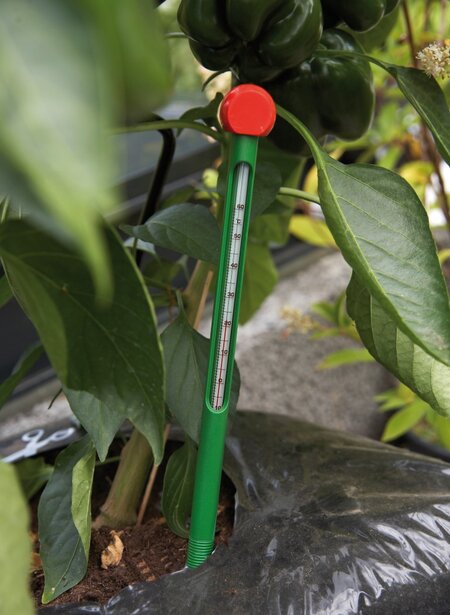 Juliana Soil Thermometer