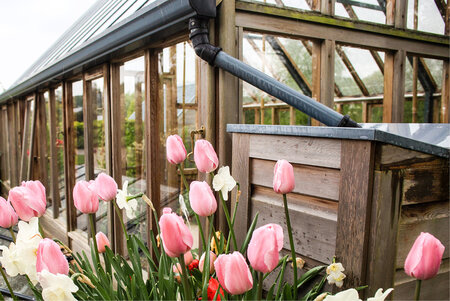 Rhs Harlow Carr - 12 Panel - Cedar base boards