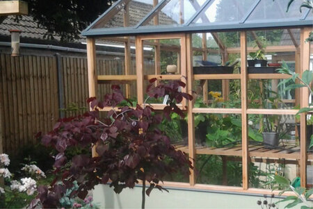 Classic Planthouse 'Ten' By 10 Panel - Low Wall