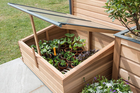 Gabriel Ash coldframe -  'babygrand'