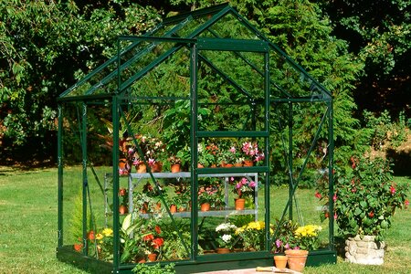 Halls Popular 46 Green Lp Toughened