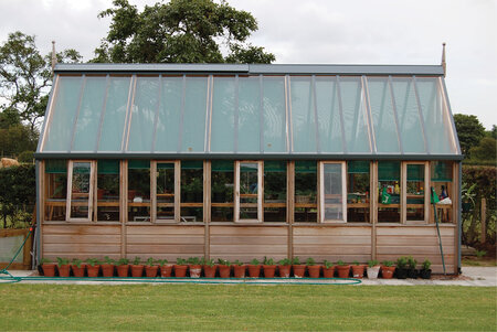 RHS 'Harlow Carr'