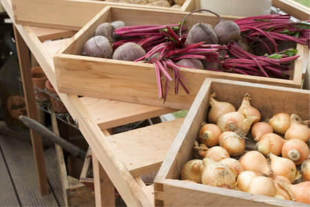 Cedar Seed Tray