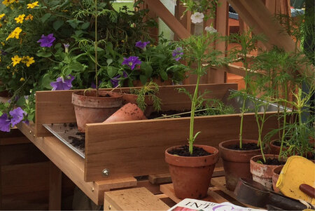 Cedar Potting Tray