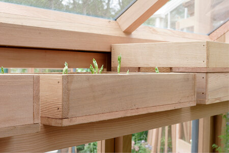 Cedar Seed Tray