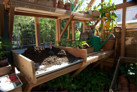 Cedar Potting Tray