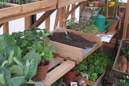 Cedar Potting Tray