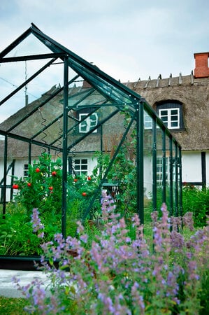 Halls Popular 106 W/ 3 mm Horti Glass - Green