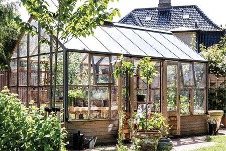Classic 'Planthouse Ten'