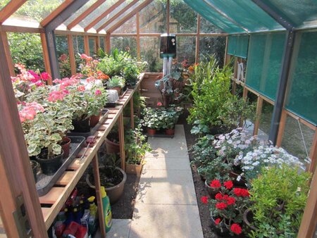 Classic Eight - 7 Panel  (3+4)