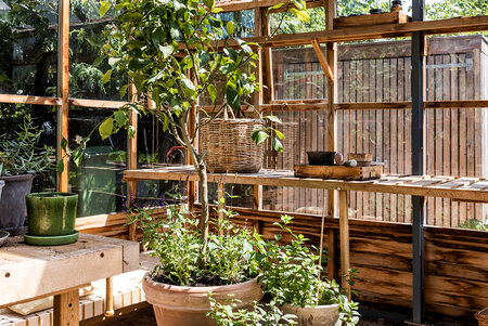 Classic 'Planthouse Ten' By 10 Panel - Cedar Base Boards