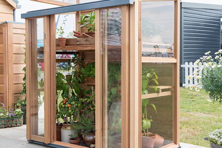 Gabriel Ash Coldframe - 'Upright'