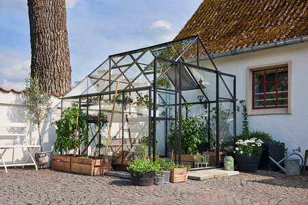 Halls Qube+ - 6,6 sort 3mm hærdet glas i hele baner