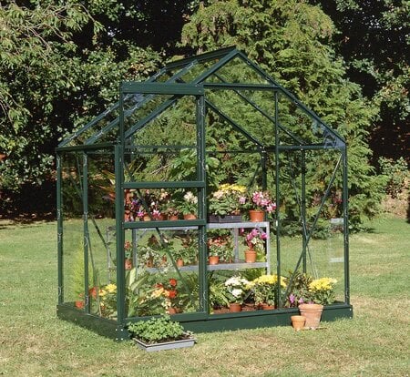 Halls Popular 46 Green Horticultural