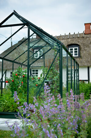 Halls Popular 106 W/ 3 mm Toughened Glass - Green