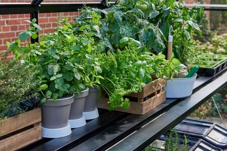 Lamellentisch Für Halls Qube