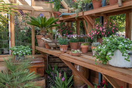 Classic Planthouse Staging - Folding