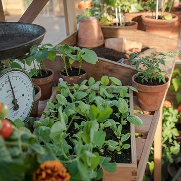 Gabriel Ash på Instagram