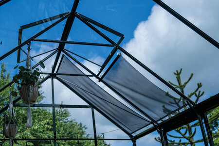 Halls ICON Planthouse 8