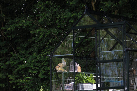 ICON 6 · 3.7 m² (6' x 6') Black w/3 mm Glass