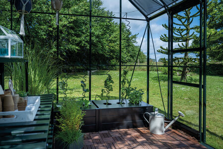 Halls ICON Planthouse 8