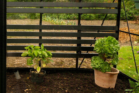 Integreret Foldbar Lamelbord - QUBE 8 · 12.5 m² (8' x 16')