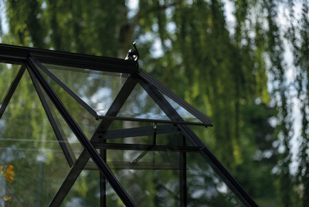 ICON 6 · 6.1 m² (6' x 10') Sort m/3 mm Glas