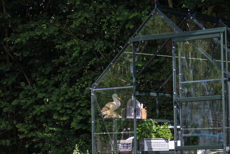 ICON 6 · 3.7 m² (6' x 6') Green w/3 mm Glass