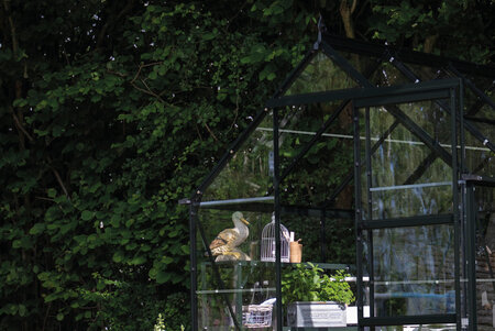 ICON 6 · 4.9 m² (6' x 8') Sort m/3 mm Glas