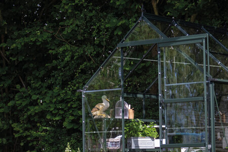 ICON 6 · 4.9 m² (6' x 8') Green w/3 mm Glass