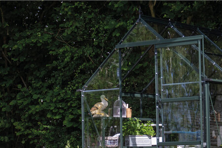 ICON 6 · 4.9 m² (6' x 8') Greenl w/3 mm Toughened Glass