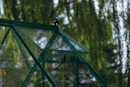 ICON 6 · 4.9 m² (6' x 8') Green w/3 mm Glass