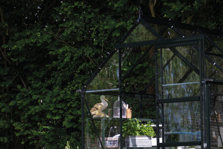 ICON 6 · 4.9 m² (6' x 8') Sort m/3 mm Hærdet Glas