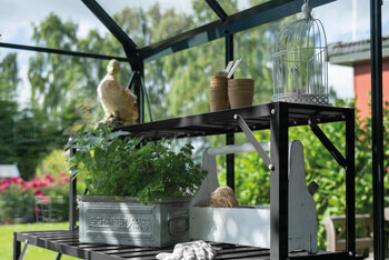 Halls Top Extension Staging