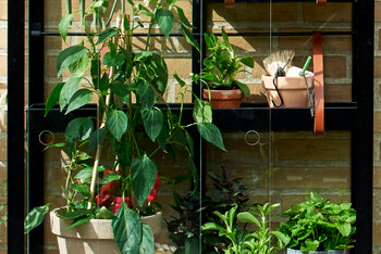 Regal Abnehmbar - Schwarz