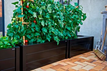 Juliana Box Planter