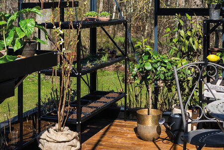 Seed Tray Frame - Black