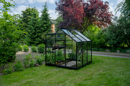 Halls Popular Greenhouse