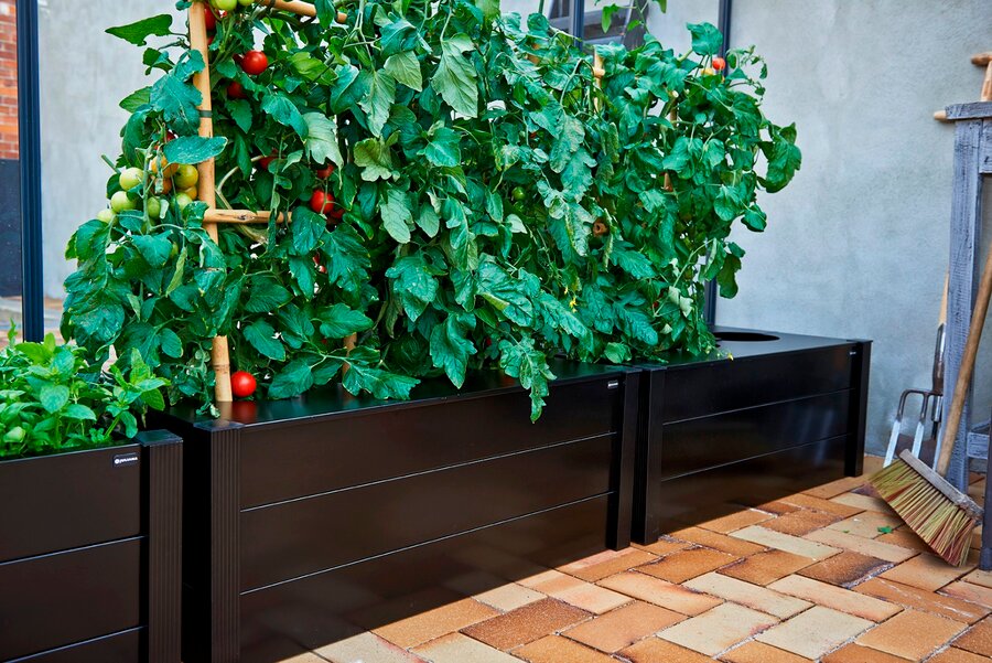 Juliana Box Planter