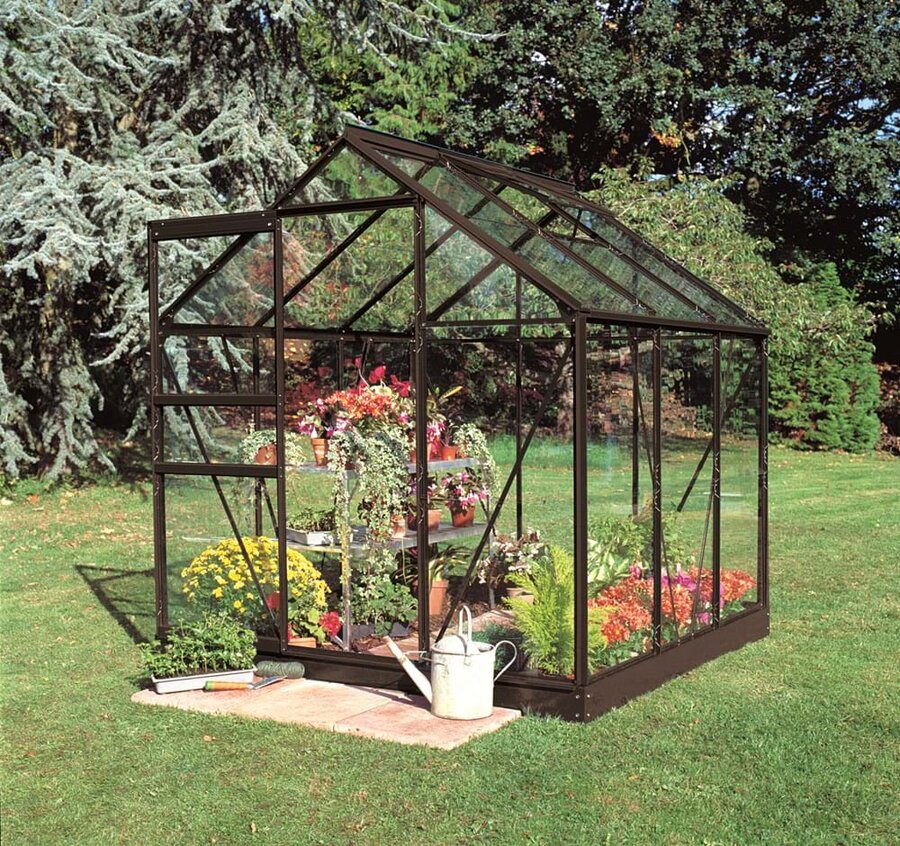 Halls Popular 6x6 - Black - 3mm Horticultural Glass