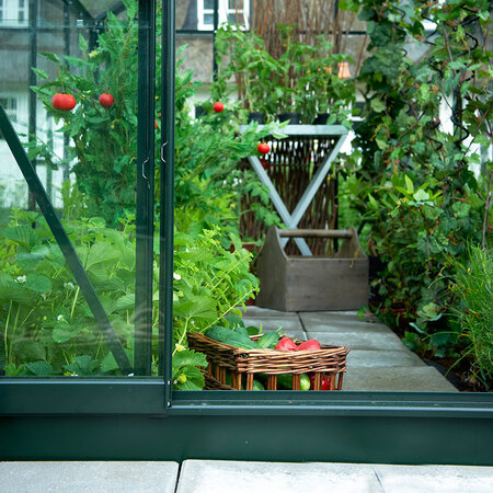 Halls Popular 3,8 m² - Grøn m/3 mm Glas