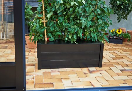 Juliana Box Planter