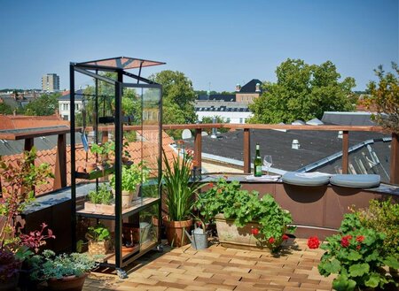 Juliana Urban City Greenhouse  - Black - 4mm Toughened Glass