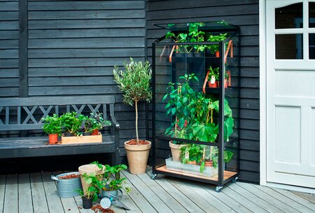 Juliana Urban City Greenhouse  - Black - 4mm Toughened Glass