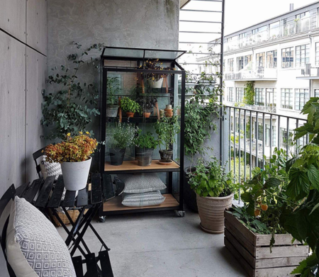 Juliana Urban City Greenhouse  - Black - 4mm Toughened Glass