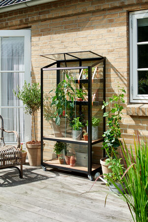 Juliana Urban City Greenhouse  - Black - 4mm Toughened Glass