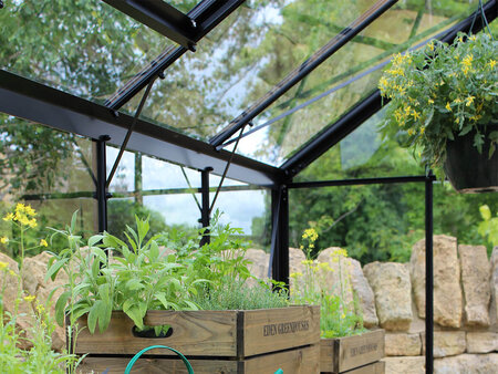 6x4 Halls Cotswold Birdlip Black Greenhouse - 3mm Toughened Glass